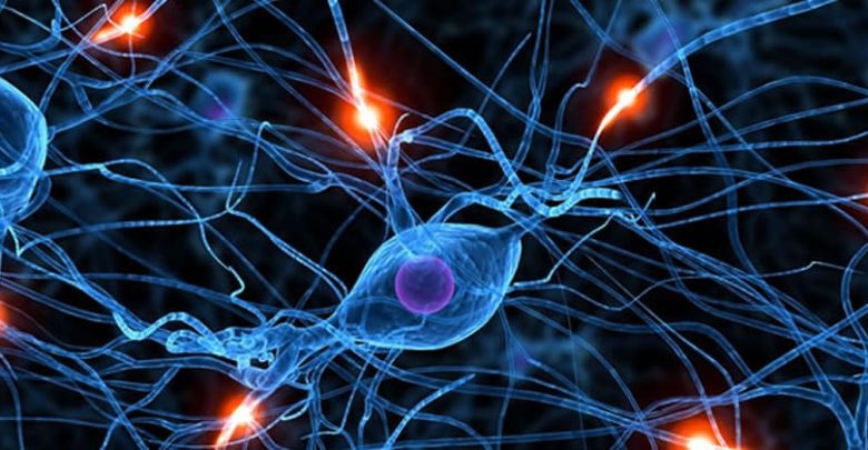 Células que se comunican a distancia, células psíquicas