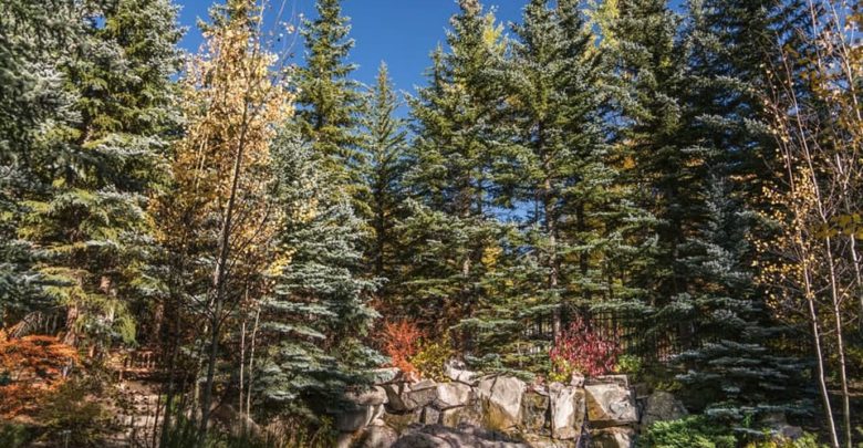 ImageShack aún sigue siendo un gran servicio de hospedaje de imágenes