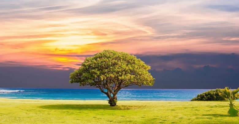 8 trucos para combatir la caída de productividad en verano