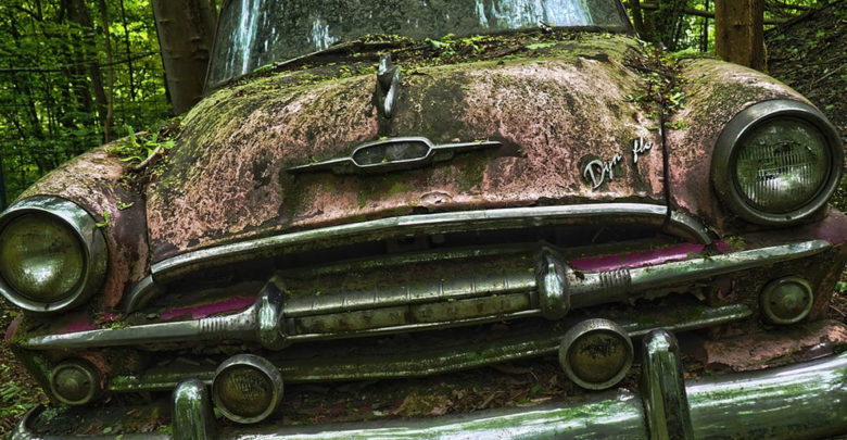 Inyecciones de ARN para transferir un recuerdo de un caracol a otro