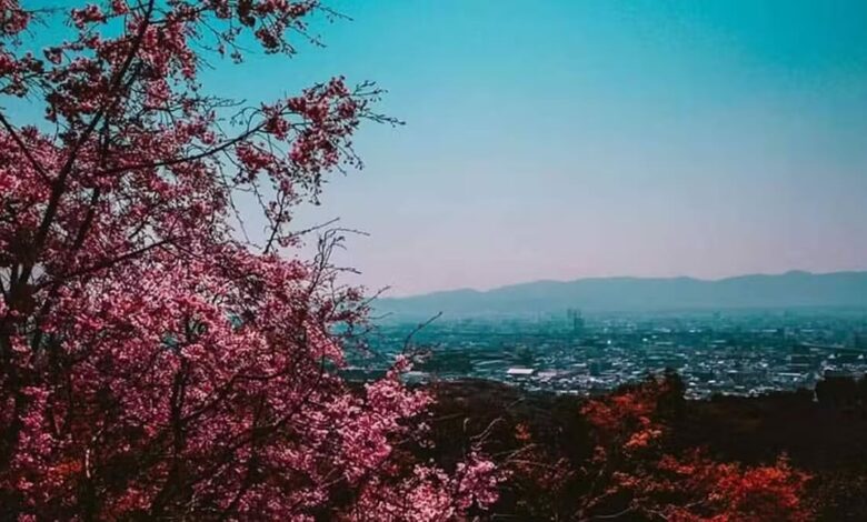 Optimizar imágenes en WordPress con el plugin Imagify