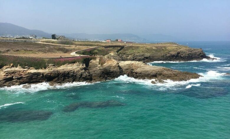 Compartir capturas de pantalla con ShareX