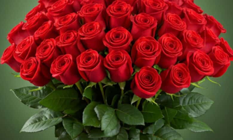 ¡500 Rosas Rojas: Un Mar de Amor en un Solo Ramo!