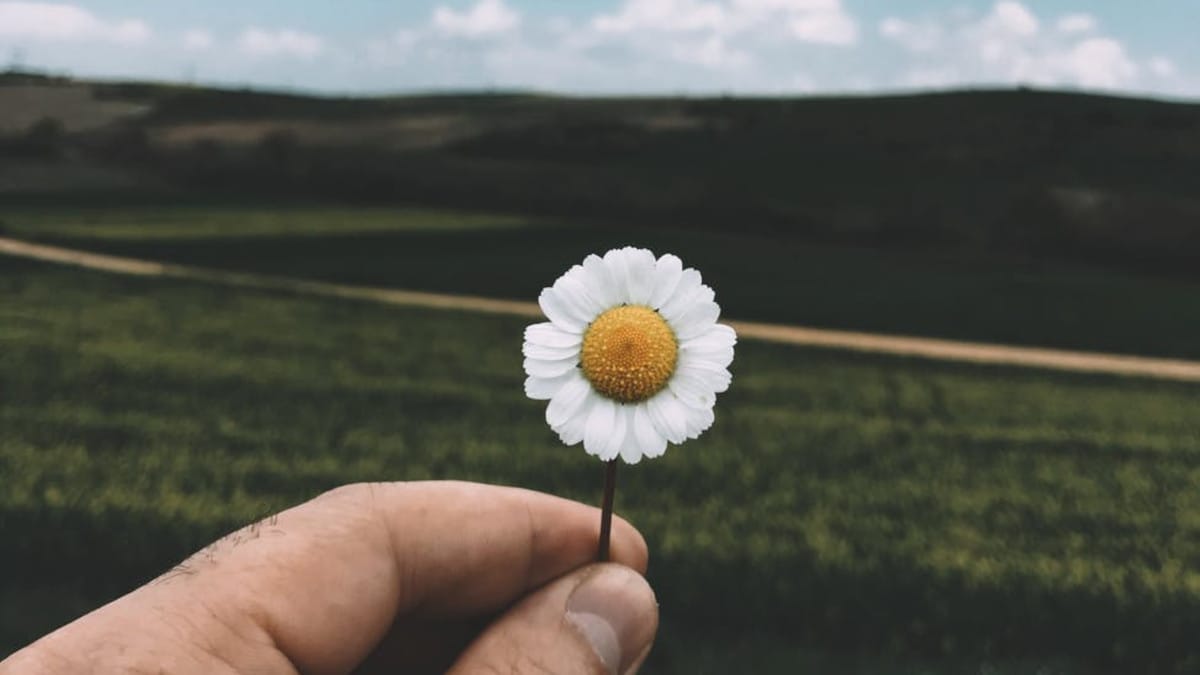 Materia viva y materia inerte