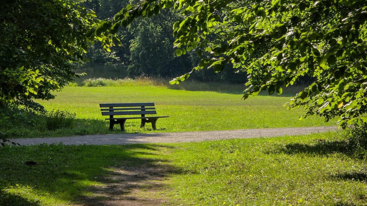 Cómo enviar gratis archivos grandes