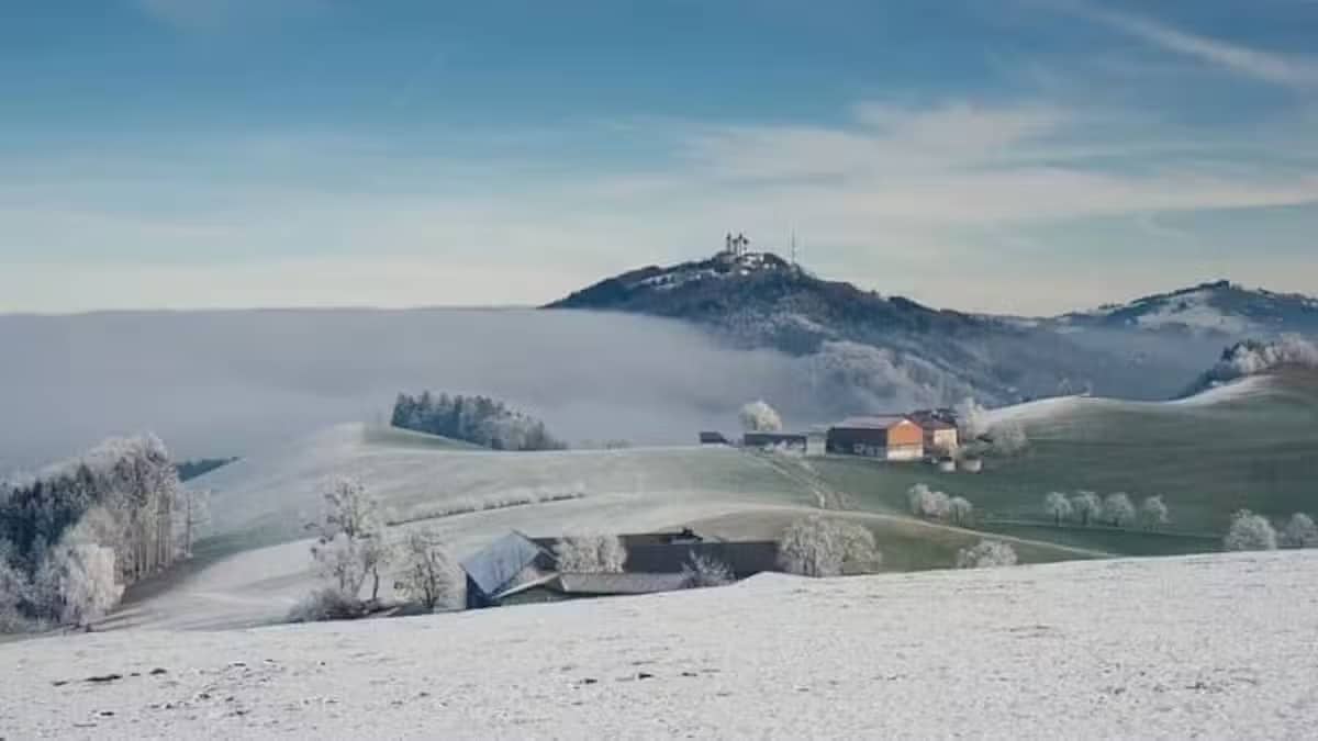 Cómo tener la Wikipedia siempre a mano