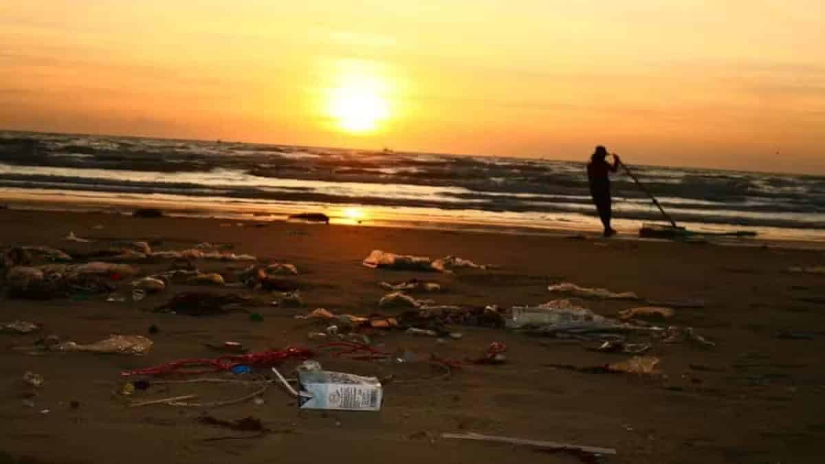 Está demostrado: el plástico es el peor invento de la historia