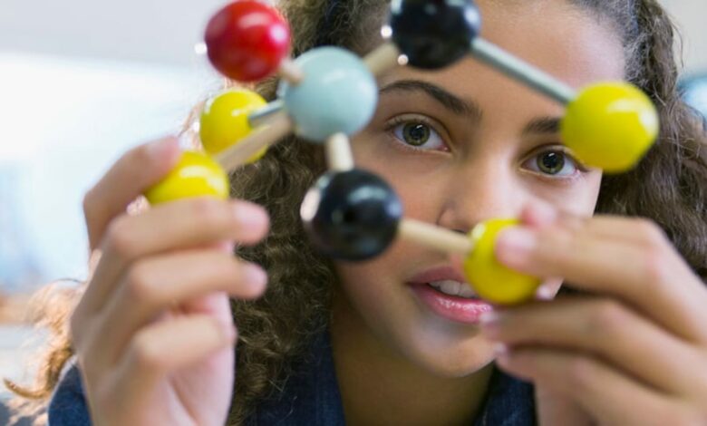 Cómo conseguir contenidos educativos